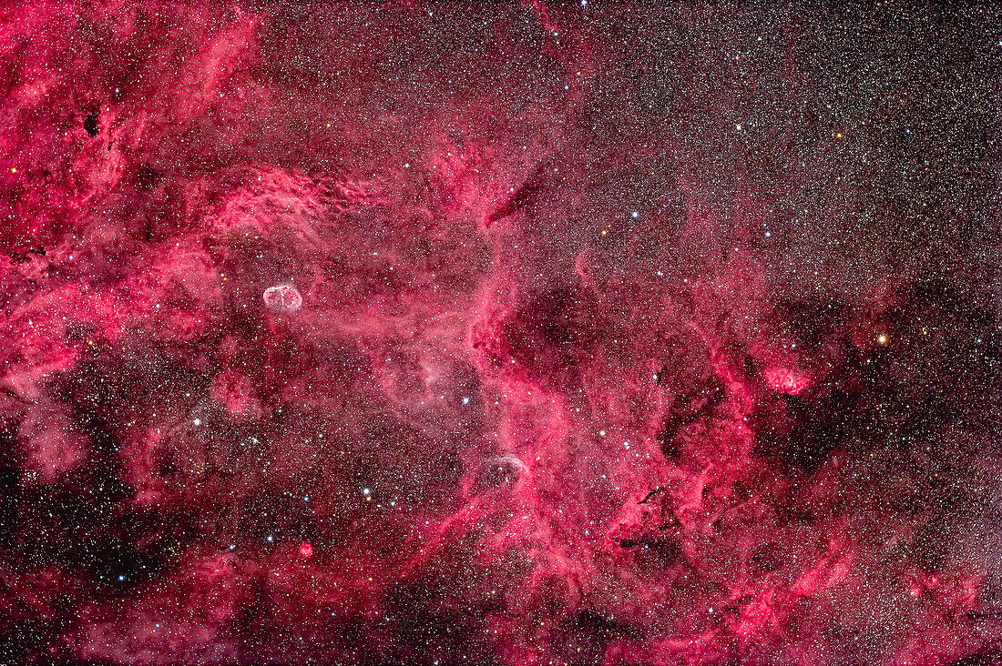 This is the rich area of nebulosity in central Cygnus that includes the Crescent Nebula (aka NGC 6888) at left,and the Tulip Nebula (aka Sharpless 2-101) at right near the star Eta Cygni.