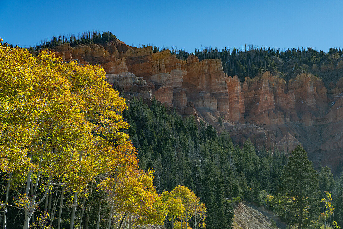 Herbstlich gefärbte Aspenbäume und rote Hoodoos aus der Claron-Formation auf dem Markagunt-Plateau im Südwesten Utahs.