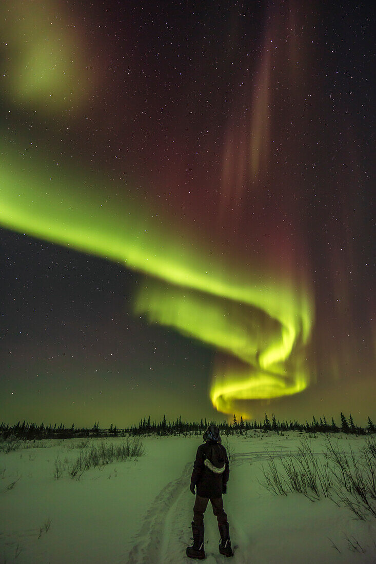Ein Polarlicht-Selfie unter dem Bogen des Nordlichts am 22. Februar 2023 auf dem Weg vor dem Churchill Northern Studies Centre in Churchill, Manitoba. Das Polarlicht war in dieser Nacht auf der Stufe Kp5 zu sehen und erreichte seinen Höhepunkt zwischen 20:30 und 21:30 Uhr.