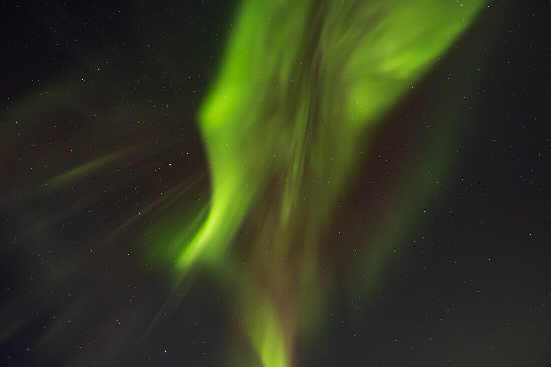 Polarlichtvorhänge, die über dem Himmel zusammenlaufen, mit dem Großen Wagen und Ursa Major in der Mitte. Dies war am 25. Februar 2023 von der Beobachtungsplattform des Churchill Northern Studies Centre, Churchill, Manitoba.