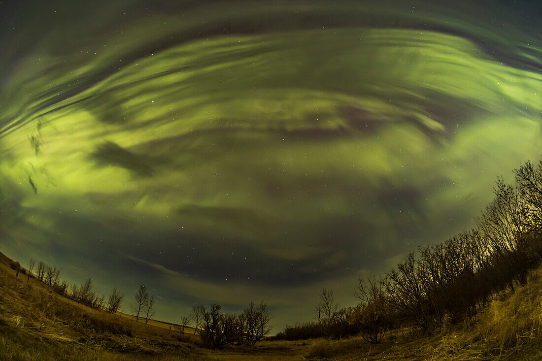 Ein Blick auf die große April-Aurora-Show vom 23. April 2023, mit Blick nach Süden, mit mehreren Vorhängen am Himmel, die im Zenit parallele Bänder von Ost nach West bilden. Aufgenommen von zu Hause in Süd-Alberta, Kanada. Dunkle Wolken erscheinen als Silhouette vor dem höheren Polarlicht.