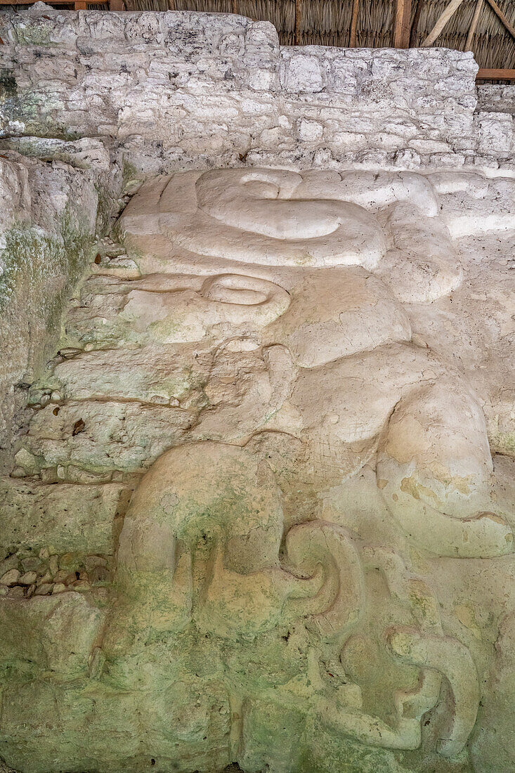 Stuckfries an der Struktur 136 der Nordakropolis in den Maya-Ruinen im Yaxha-Nakun-Naranjo-Nationalpark, Guatemala.