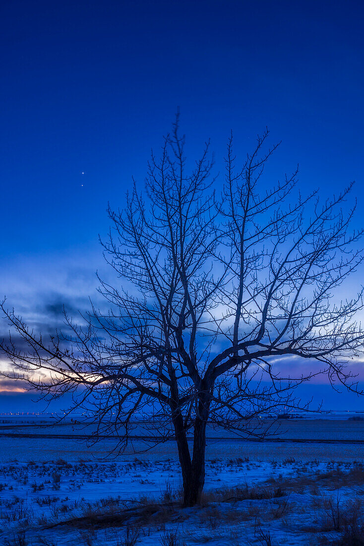 Venus (at top) and Jupiter in a close conjunction on the evening of March 2,2023,the day after their closest approach. They were one degree apart this night but were 1/2° apart the night before. I shot this on a hill near home in southern Alberta.