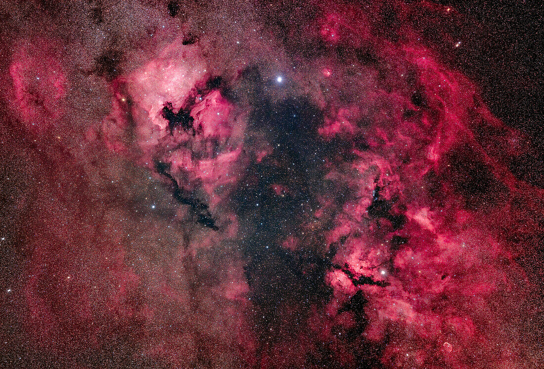 This is a portrait of the complex of nebulosity in northern Cygnus,with many wreaths and arcs of hydrogen gas interspersed with patches and tendrils of dark dust of varying densities. The main nebula is the North America (NGC 7000) at upper left,with the smaller Pelican Nebula (IC 5067) beside it in the "Atlantic Ocean." At bottom right is the Gamma Cygni complex,aka the Butterfly Nebula or IC 1318,while at the bottom right edge is the small arc of the Crescent Nebula (NGC 6888). The field is filled with other fainter nebulas catalogued in the Sharpless and DWB catalogues. Above Gamma Cygni ri