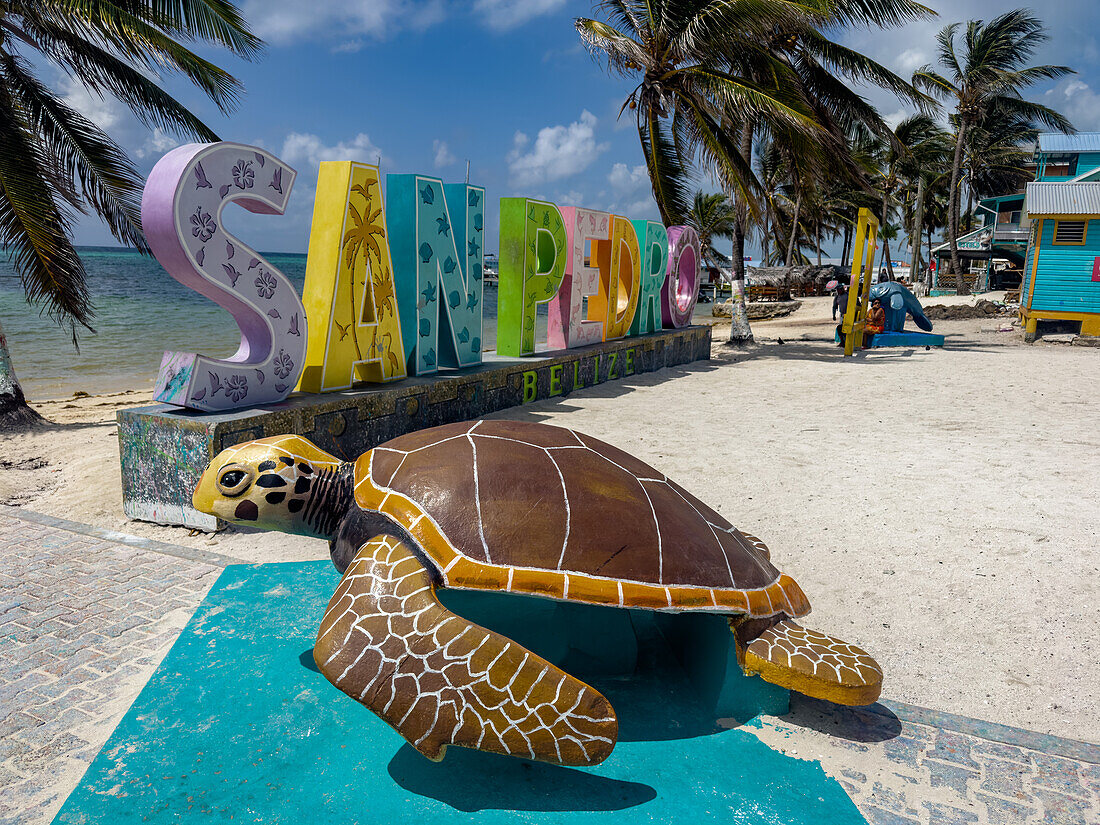 Palm trees and a sea turtle statue in front of a 3-D painted sign on the beach in San Pedro on Ambergris Caye,Belize.