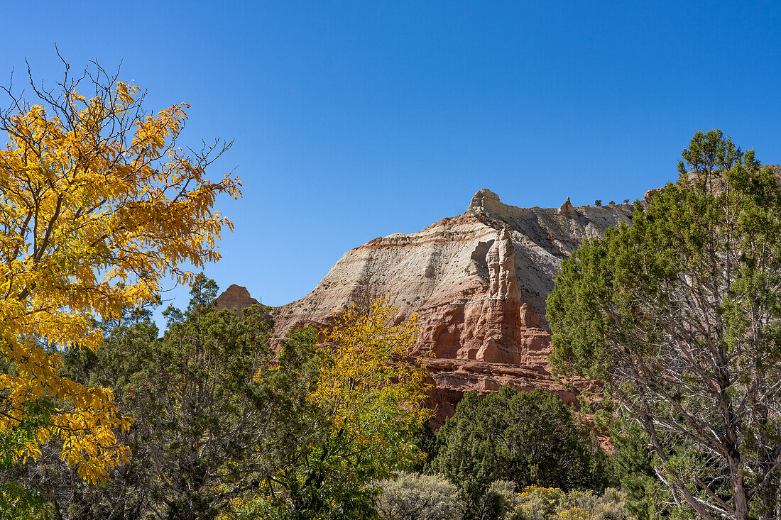 Eroded sandstone formations and pinyon-juniper forest in Kodachrome Basin State Park in Utah.