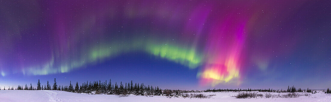 A 150° panorama of the aurora appearing in deep twilight on a Kp6 night on February 26,2023 from the second floor observing deck at the Churchill Northern Studies Centre,Churchill,Manitoba,at 58° N.