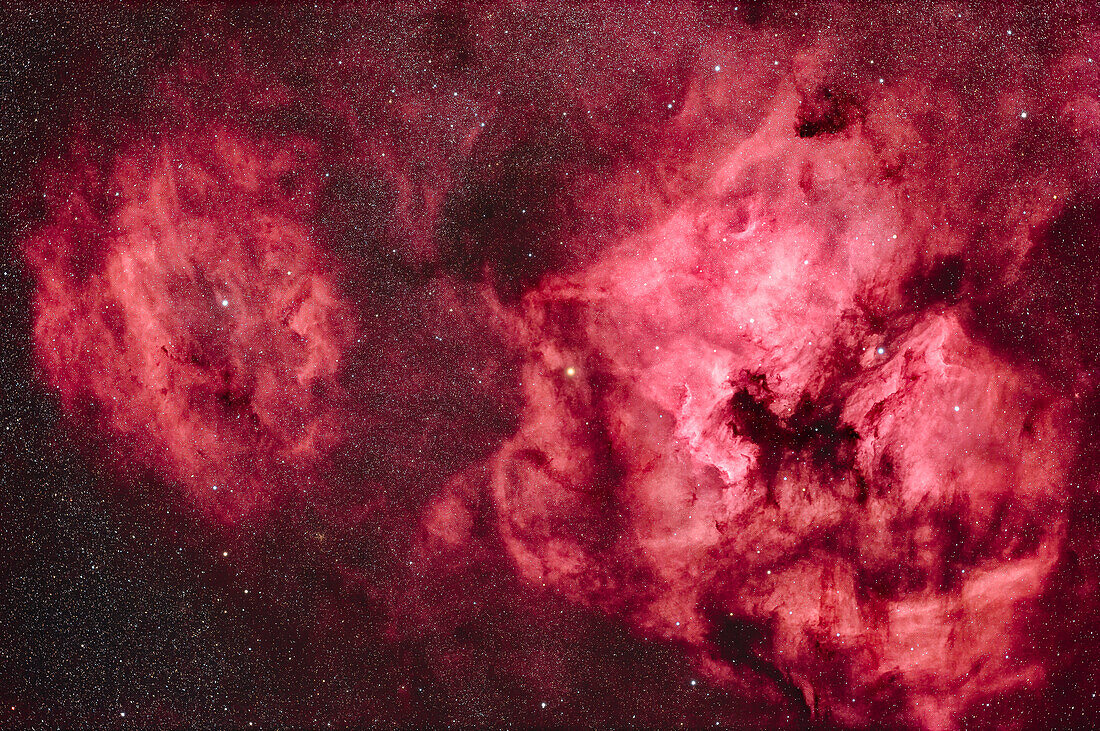 Dies ist eine Aufnahme einer Reihe von Emissionsnebeln im Schwan: der helle Nordamerikanebel (NGC 7000) rechts und rechts davon der Pelikannebel (IC 5067/8). Diese hellen Nebel befinden sich inmitten eines Komplexes von schwächeren Nebeln, insbesondere dem Muschelnebel links, der seit kurzem als Sharpless 2-119 katalogisiert ist. Unten rechts ist der gekrümmte Cygnusbogen, auch bekannt als IC 5068. Der kleine Sternhaufen NGC 7044, der durch interstellaren Staub vergilbt ist, befindet sich unterhalb der Clamshell. Die Nebel sind durch viele Strukturen und radiale Streifen gekennzeichnet, die vi