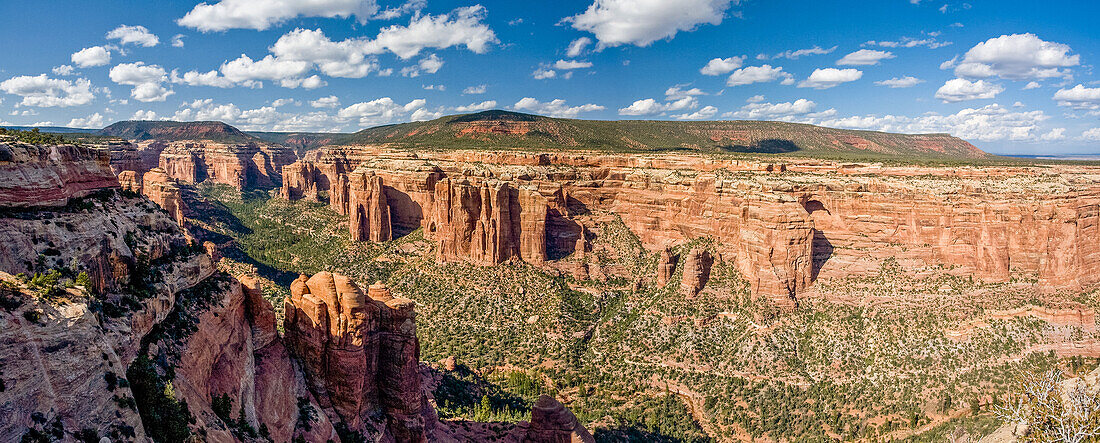 Arch Canyon with Cathedral Arch in the center. Shash Jaa Unit of the Bears Ears National Monument,Utah. Arch Canyon Overlook.