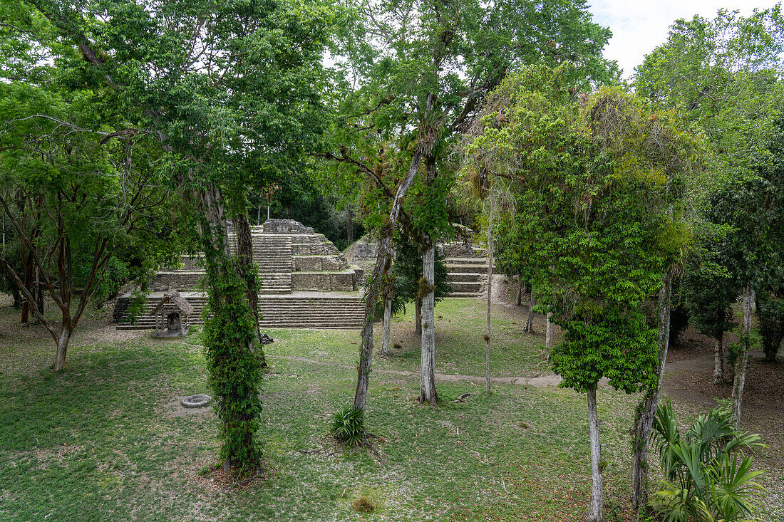 Die Malergruppe oder Plaza der Schatten in den Maya-Ruinen im Yaxha-Nakun-Naranjo-Nationalpark, Guatemala. Blick von Struktur 1.