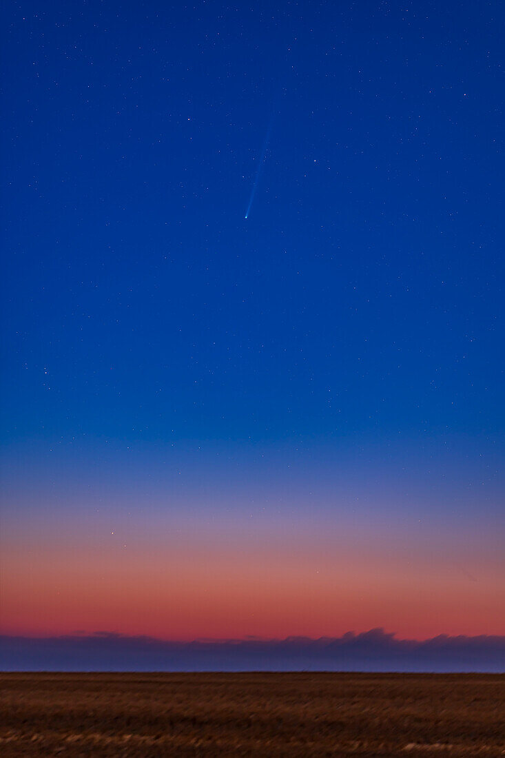 Komet Nishimura (C/2023 P1), aufgenommen in der Morgendämmerung am 7. September 2023, als der Himmel in den Farben der Morgendämmerung erstrahlte. Der Komet befand sich inmitten der Sterne des Sternbilds Sichel des Löwen, das gerade im Osten aufgeht. Der Komet hat einen schwachen blauen Ionenschweif, der scheinbar auf den Punkt des Sonnenaufgangs gerichtet ist.