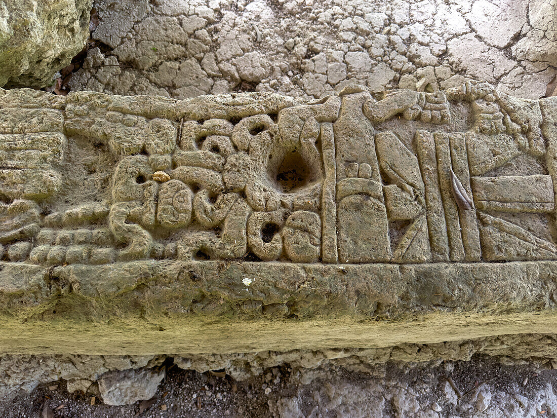 Teil einer zerbrochenen Steinstele auf der Plaza A der Maya-Ruinen im Yaxha-Nakun-Naranjo-Nationalpark, Guatemala.