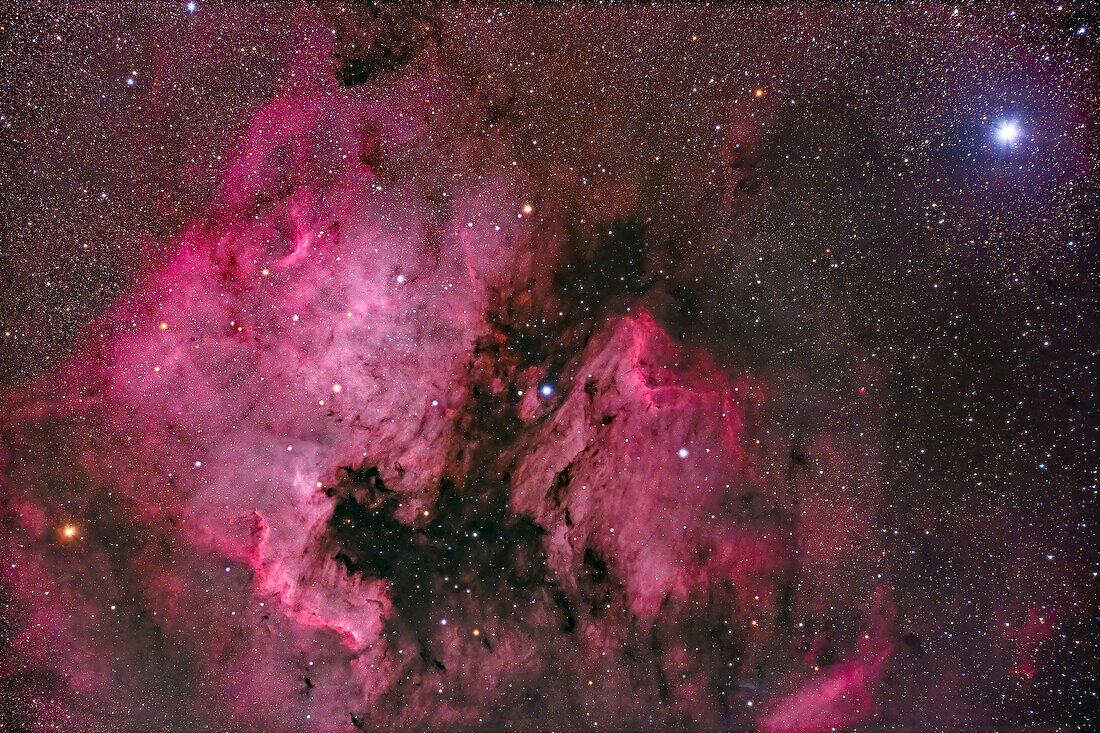 My favourite target for testing telescopes,the North America Nebula,NGC 7000,in Cygnus,with its companion Pelican Nebula to the right,aka IC 5070. The bright star Deneb is at upper right. An odd little red nebula is to the right of the Pelican,of unknown identity as it is not in Deep Sky Atlas,Millenium Star Atlas,TriAtlas or SkySafari.