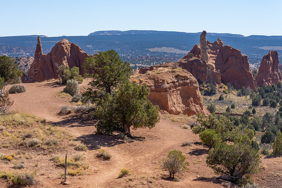 Sandrohre oder Kaminfelsen vom Angel's Palace Trail im Kodachrome Basin State Park in Utah aus gesehen.