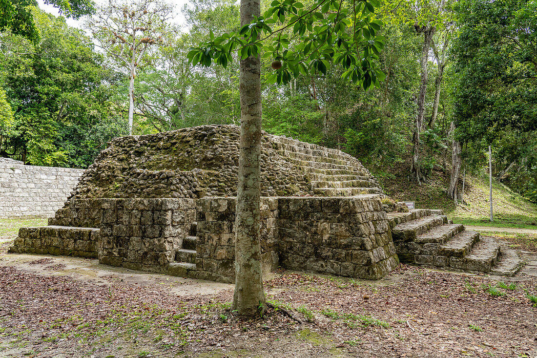 Struktur 395 von Ballcourt 1 in der Südakropolis der Maya-Ruinen im Yaxha-Nakun-Naranjo-Nationalpark, Guatemala.