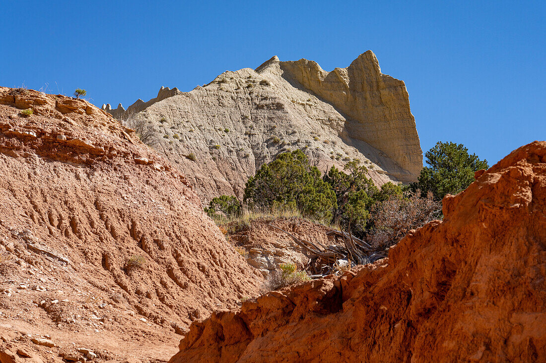 Erodierte Sandsteinrippen auf dem Angel's Palace Trail im Kodachrome Basin State Park in Utah.