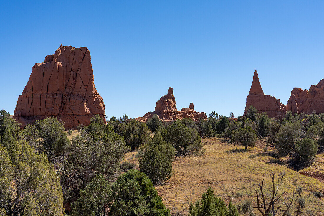 Colorful eroded Entrada sandstone formations and pinyon-juniper forest in Kodachrome Basin State Park in Utah.