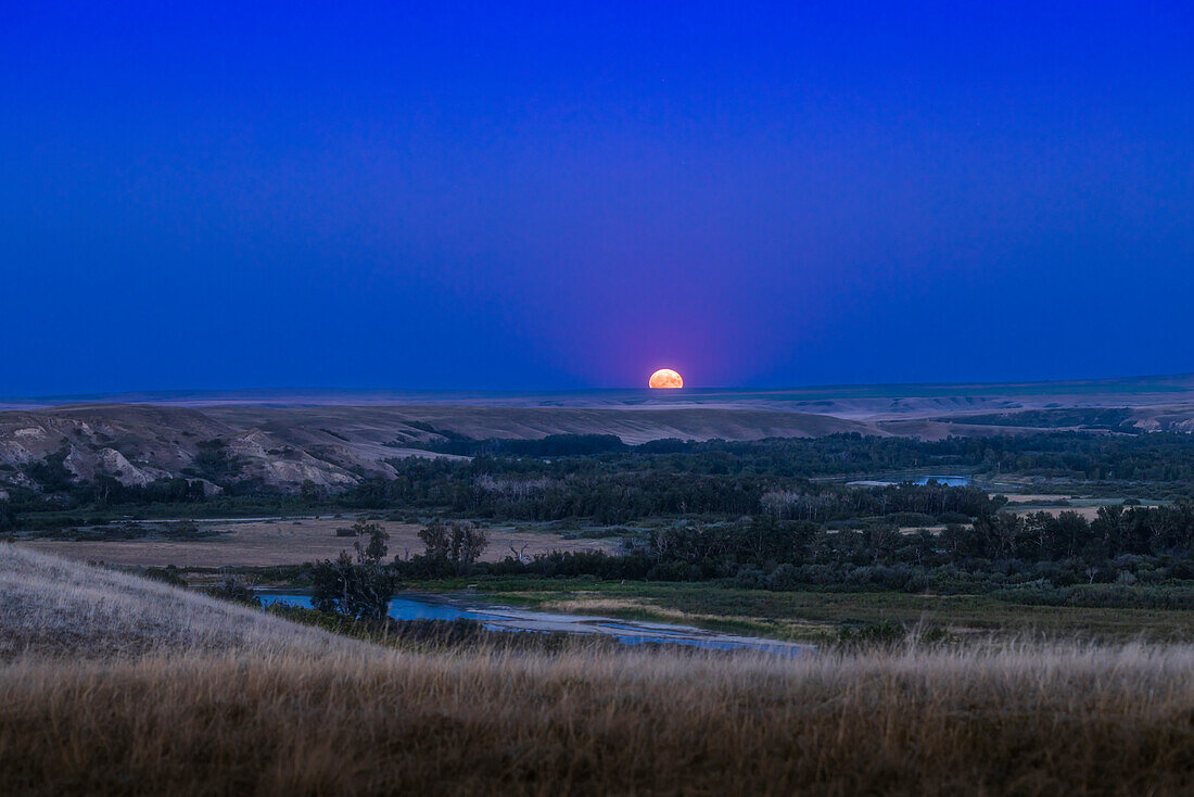 The rising of the August 1,2023 "supermoon" Full Moon,over the Bow River and valley,on the Siksika Nation lands,in the heart of the traditional Blackfoot Confederacy territory in southern Alberta,Canada.