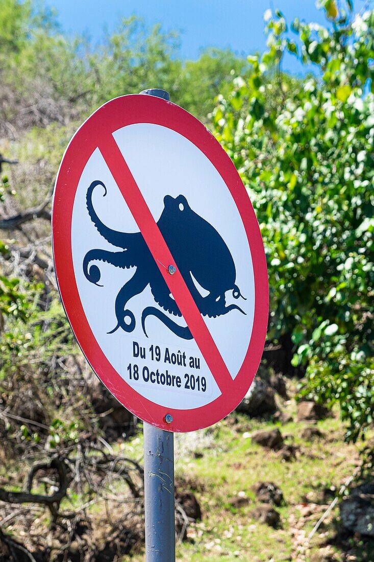 Mauritius, Rodrigues island, Grand Baie, Anse aux Caves, octopus fishing prohibition sign