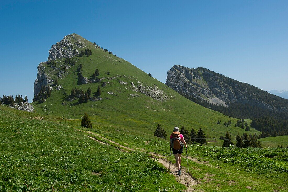 Frankreich, Haute Savoie, Bornes-Massiv, Glieres, Wandertag 4, Übergang zum Col de l'Ebat am Fuß des Parnal-Felsens (1896m)