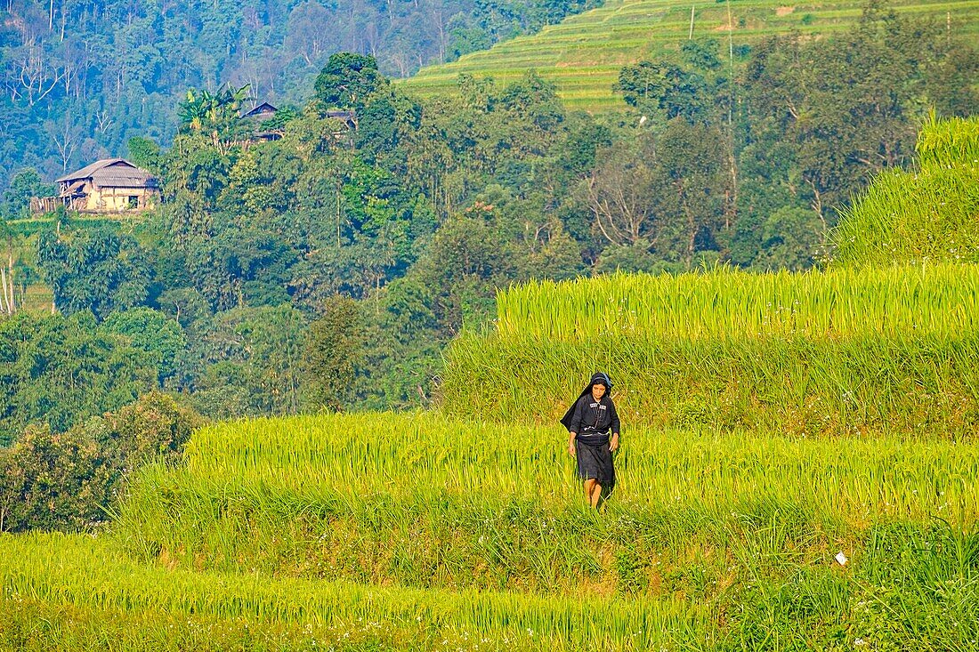 Vietnam, Ha Giang, Hoang Su Phi, woman of La Chi erthnic group