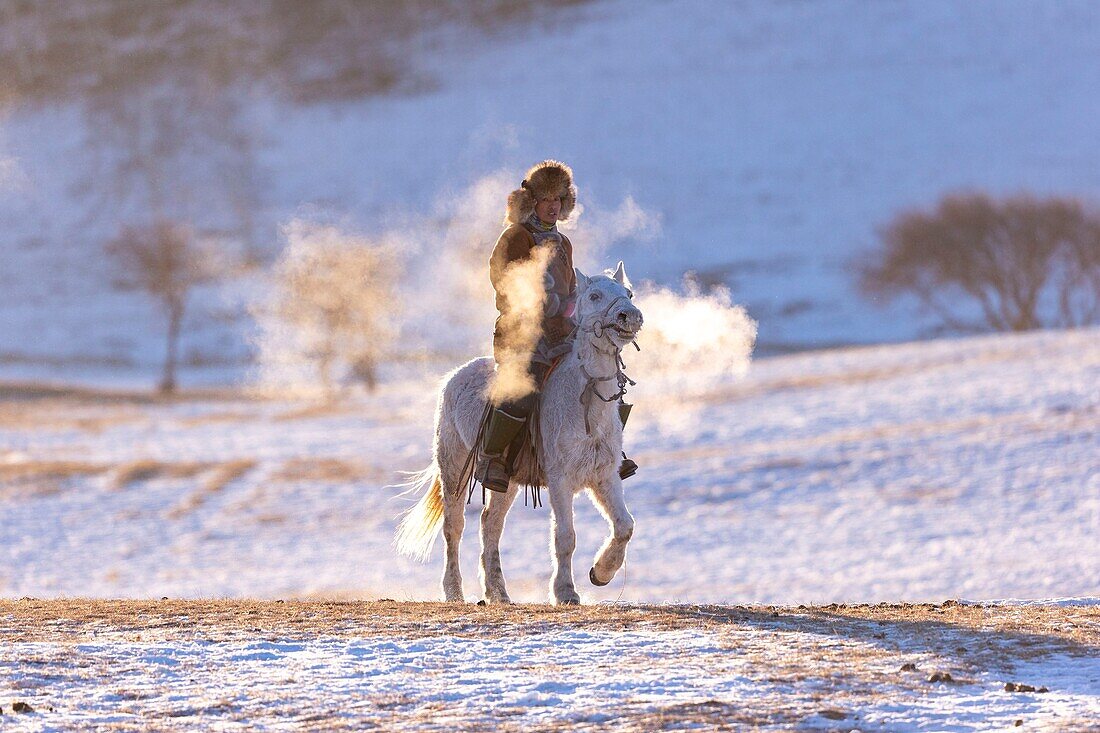 China, Inner Mongolia, Hebei Province, Zhangjiakou, Bashang Grassland, one Mongolian horseman on a horse running in a meadow covered by snow