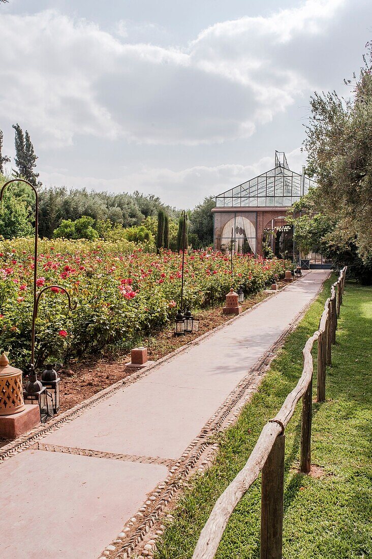 Morocco, Marrakesh, Beldi Country Club, Story: The stunning charm of the Beldi greenhouses