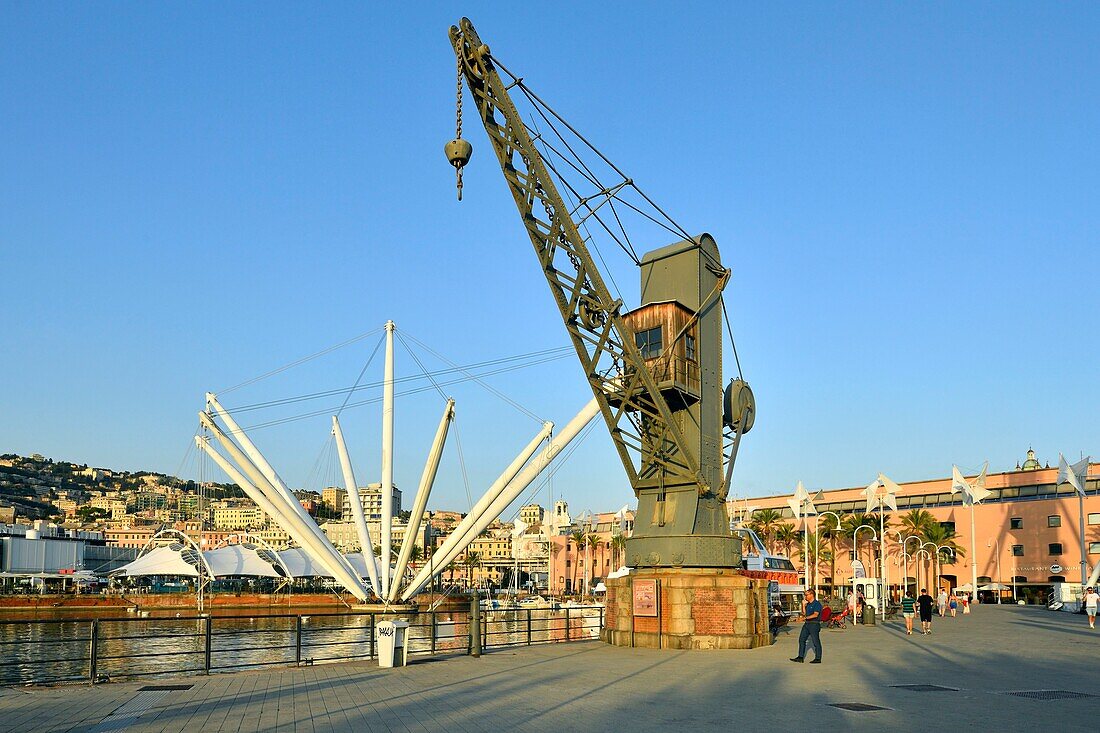 Italien, Ligurien, Genua, Porto Antico, der Hafen mit dem von Renzo Piano entworfenen Panoramalift und dem größten Aquarium Europas