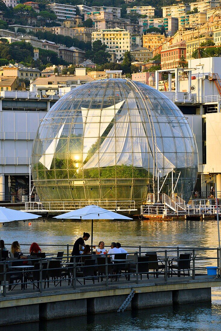 Italy, Liguria, Genoa, Porto Antico (Old harbour), Banano Tsunami restaurant bar and Biosfera by Renzo Piano