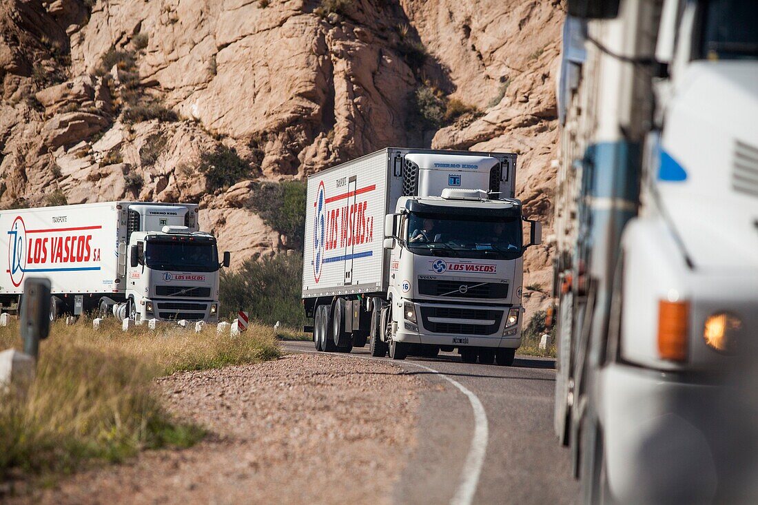 Argentina, Mendoza, Vicente Lezea, Basque immigrant to create a transport company that crosses the Andean cordillera to transport bananas from Chile