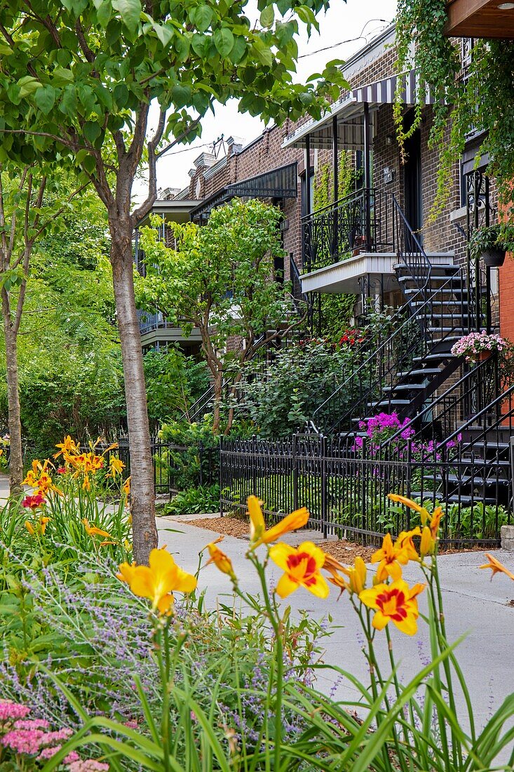 Canada, Province of Quebec, Montreal, Villeray-Saint-Michel-Parc-Extension borough, Villeray neighborhood, typical Montreal house with wrought iron exterior staircase and brick walls, small street garden