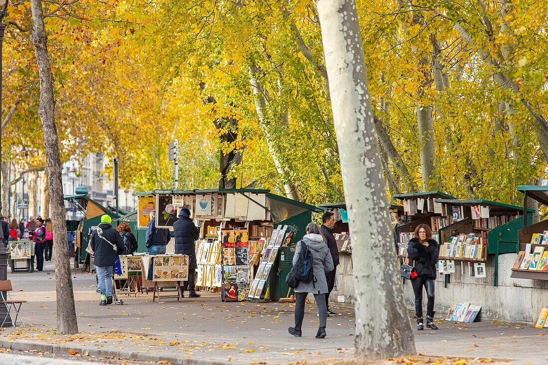 Frankreich, Paris, die Buchhändler am Quai de Montebello im Herbst