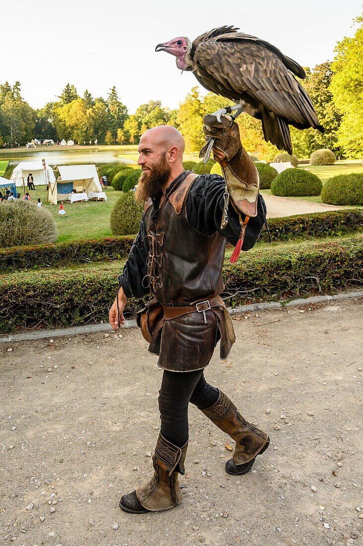 France, Yvelines (78), les Mesnuls, Les Mesnuls castlle,Heritage Day 2019, raptor trainer with his vulture