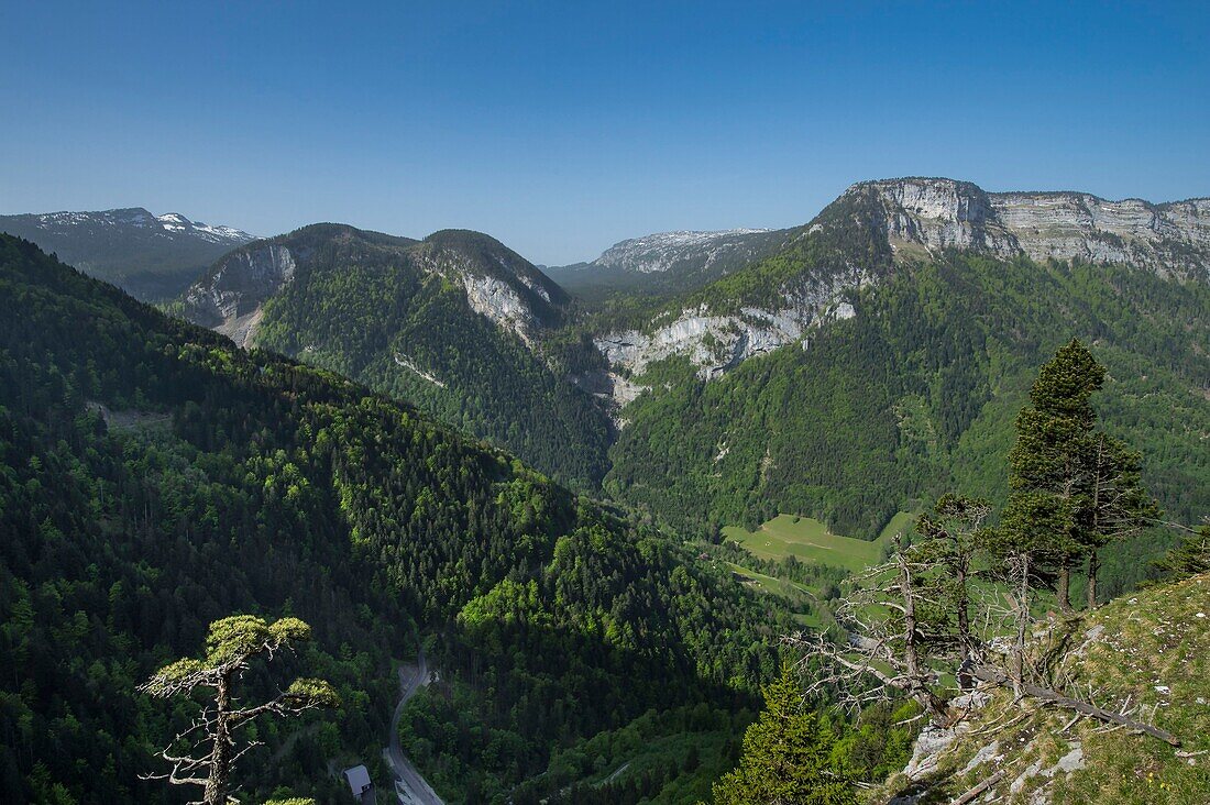 France, Haute Savoie, Bornes massif, Glieres, itinerant trek day 4, du Pas du Roc view over the Nerval valley