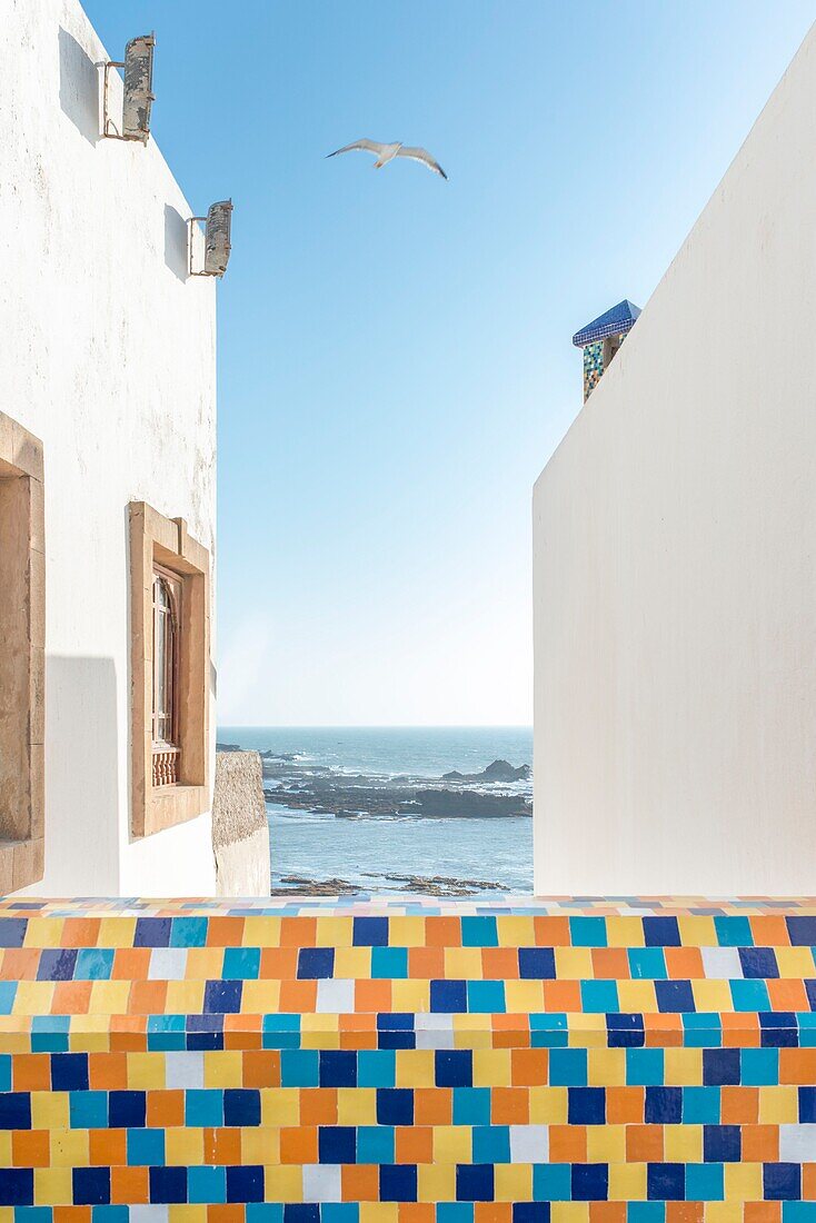 Morocco, Essaouira, Riad Salut Maroc, Story: Eccentric arty rendez-vous in a hyper vitamined riad