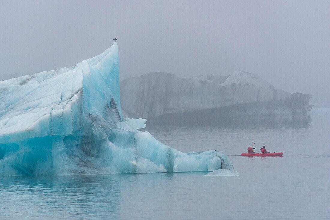 Island, Austurland, Vatnajokull-Nationalpark, schwimmender Eisberg in der Gletscherlagune von Jokulsarlon