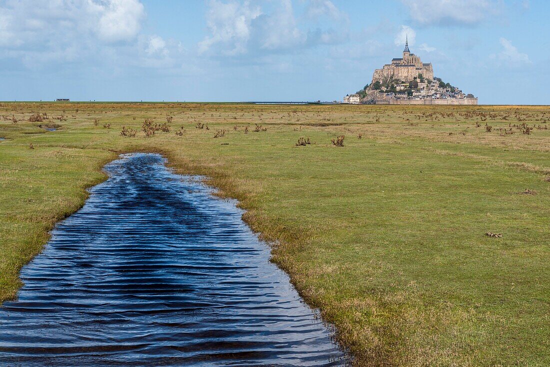 Frankreich, Manche, Bucht von Mont Saint Michel (UNESCO-Welterbe), Abtei von Mont Saint Michel, Salzwiese bei Flut