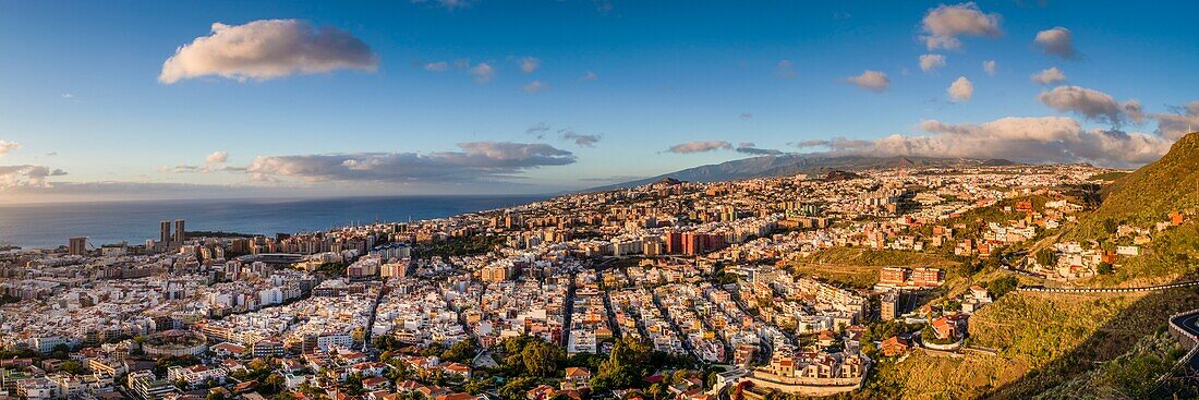 Spain, Canary Islands, Tenerife Island, Santa Cruz de Tenerife, elevated city view, dawn