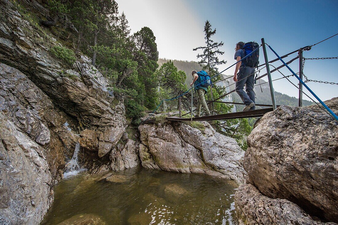 France, Haute Savoie, Bornes massif, Glieres, itinerant trek day 4, a small footbridge over the Pas du Roc