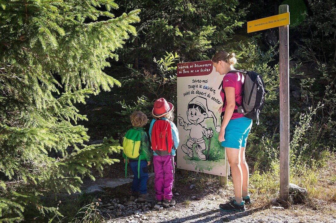 France, Savoie, Mountain of Vanoise, Pralognan la Vanoise, family, mother and two children on the discovery trail in the wood of Gliere