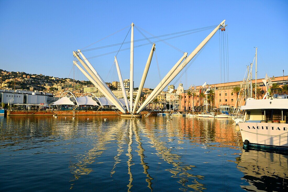 Italy, Liguria, Genoa, Porto Antico, the port with the panoramic lift designed by Renzo Piano