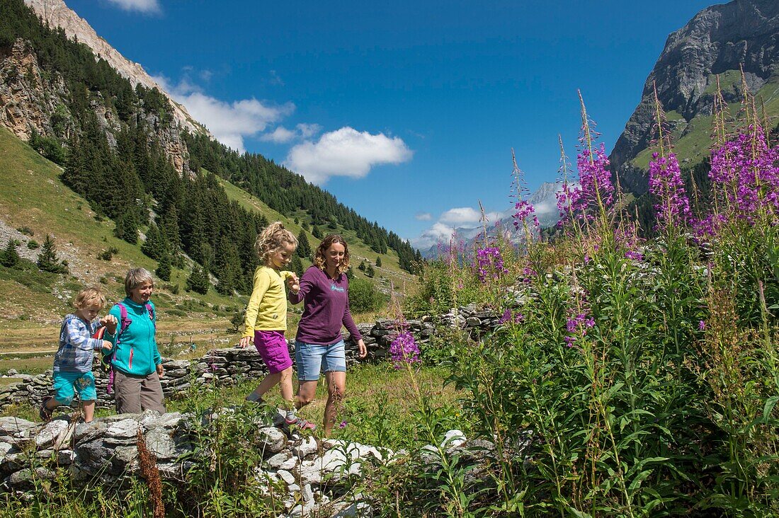 Frankreich, Savoyen, Berg der Vanoise, Pralognan la Vanoise, Kinder mit Oma und Mutter spielen auf einer Mauer in Richtung des Weilers Repoju und Blumen von epilobe