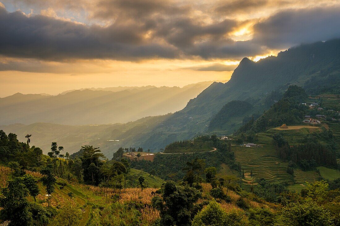 Vietnam, Bac Ha, Landschaft, Reisfelder auf einer Terrasse