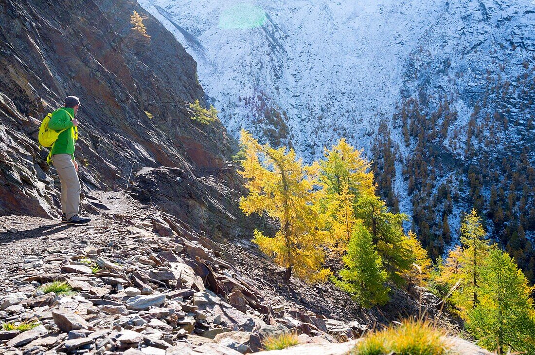 Schweiz, Wallis, Zermatter Tal, Wanderung zwischen Randa und Zermatt auf dem Europaweg mit der längsten Fußgänger-Hängebrücke der Welt (500 Meter)