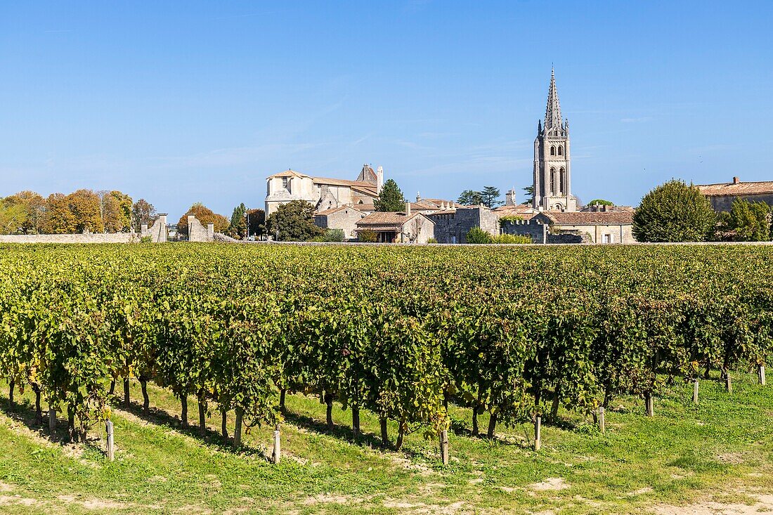 France, Gironde, Saint-Émilion, classified World Heritage by UNESCO, Bordeaux vineyard, AOC Saint-Emilion, the medieval town and the monolithic church