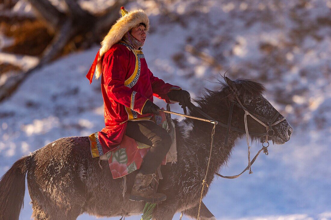 China, Inner Mongolia, Hebei Province, Zhangjiakou, Bashang Grassland, one Mongolian horseman on a horse running in a meadow covered by snow