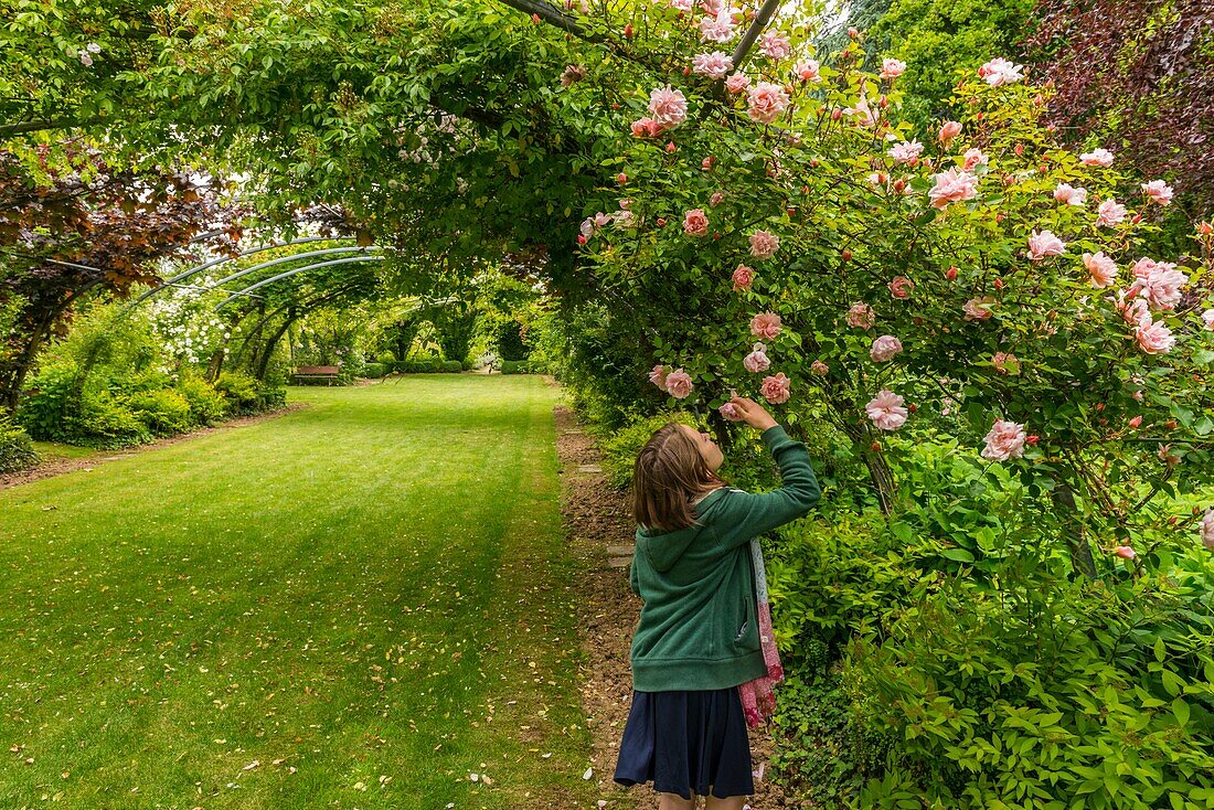 France, Pas de Calais, Séricourt, Les Jardins de Séricourt, park of more than 4 hectares recognized as one of the most beautiful gardens of France labeled Remarkable Garden by the Ministry of Culture and elected Garden of the year 2012 