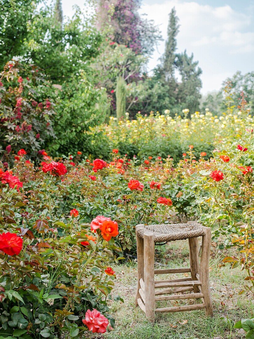 Morocco, Marrakesh, Beldi Country Club, Story: Fairytale rose garden