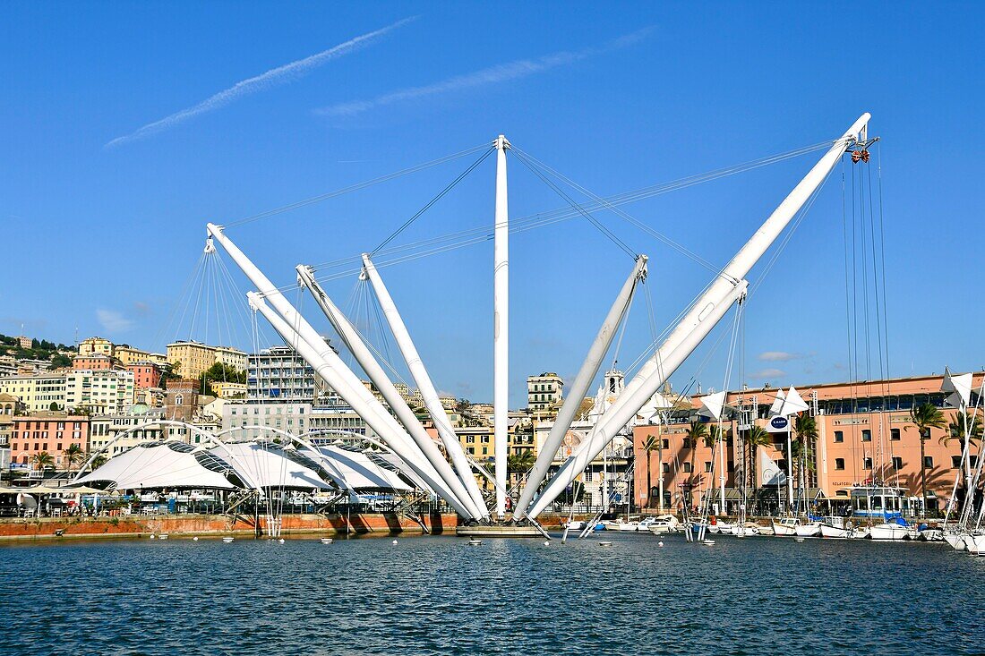 Italy, Liguria, Genoa, Porto Antico, the port with the panoramic lift designed by Renzo Piano