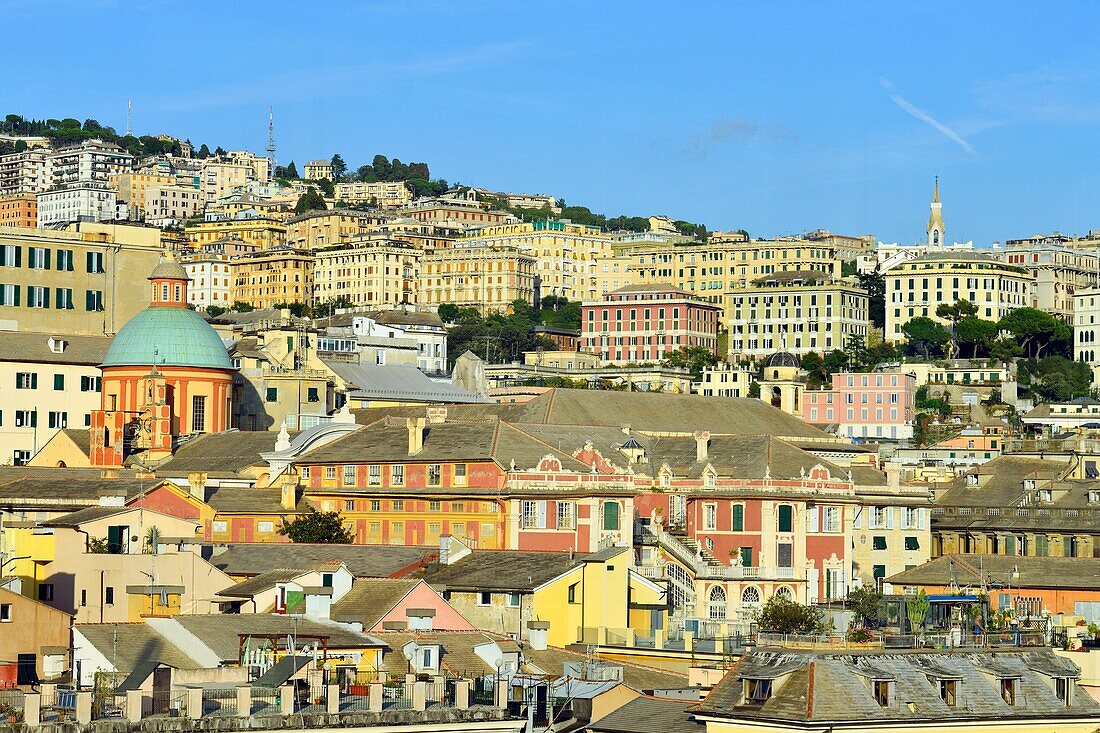 Italien, Ligurien, Genua, Museo di Palazzo Reale (Königspalast)